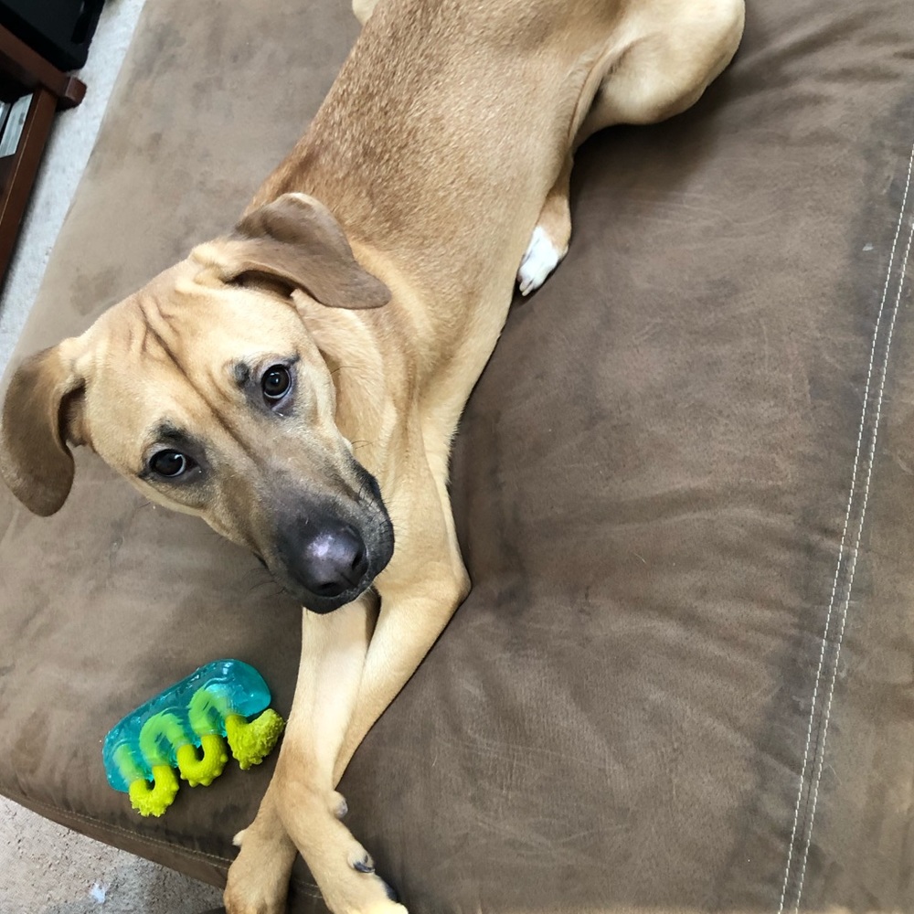 Meet your Posher, Krystin